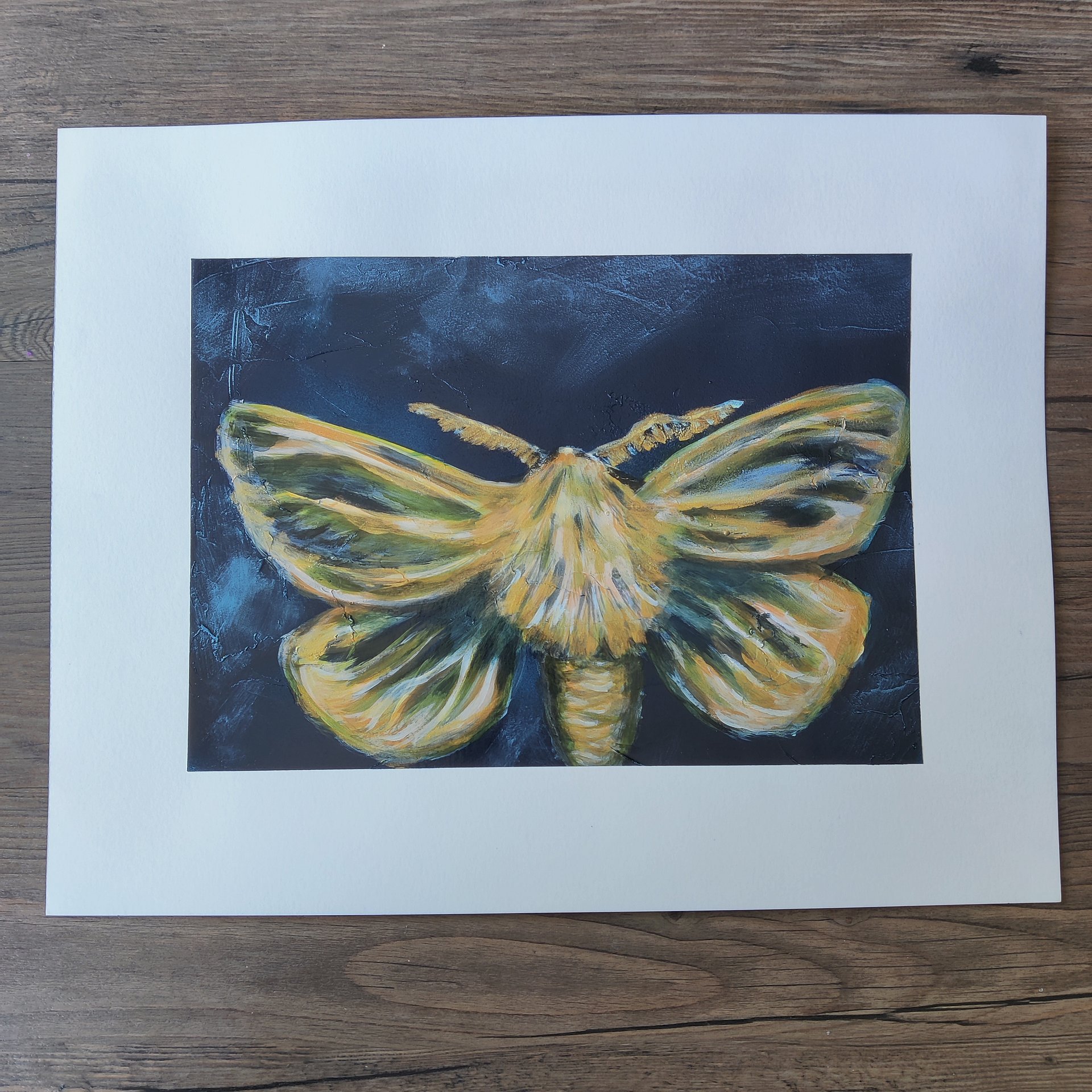 Moth Collection product image (2)