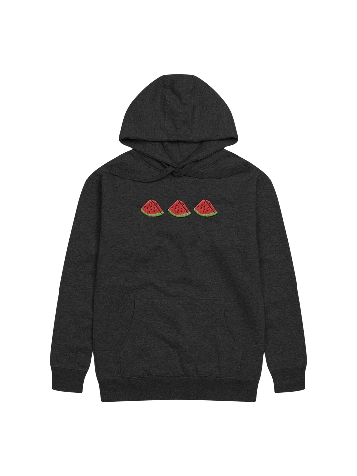 Sandia Embroidered Hoodie (black) product image (1)