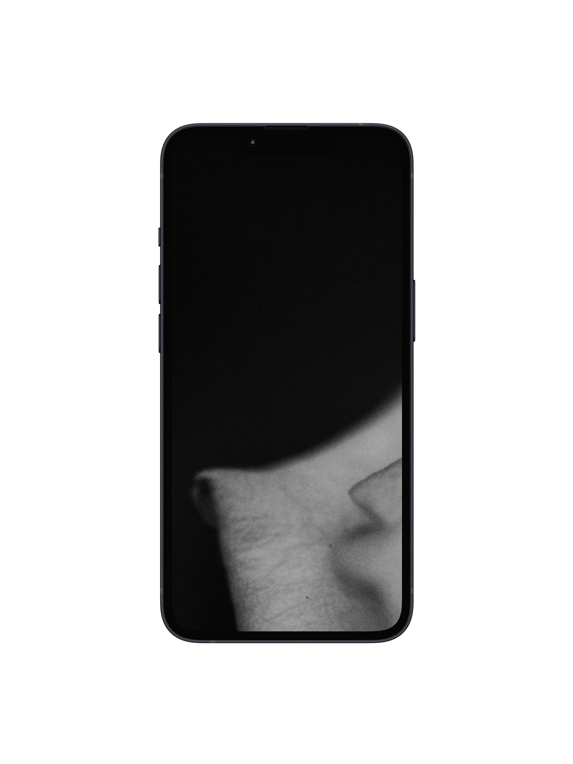 Black and White Rose Digital Wallpaper Set product image (1)