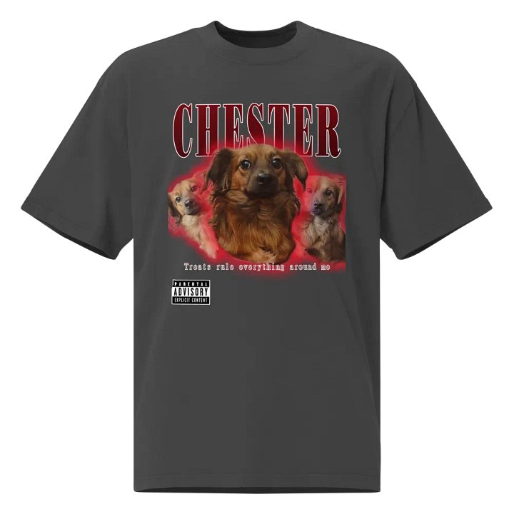 Chester Hip Hop Premium Oversized Faded T-Shirt product image (1)