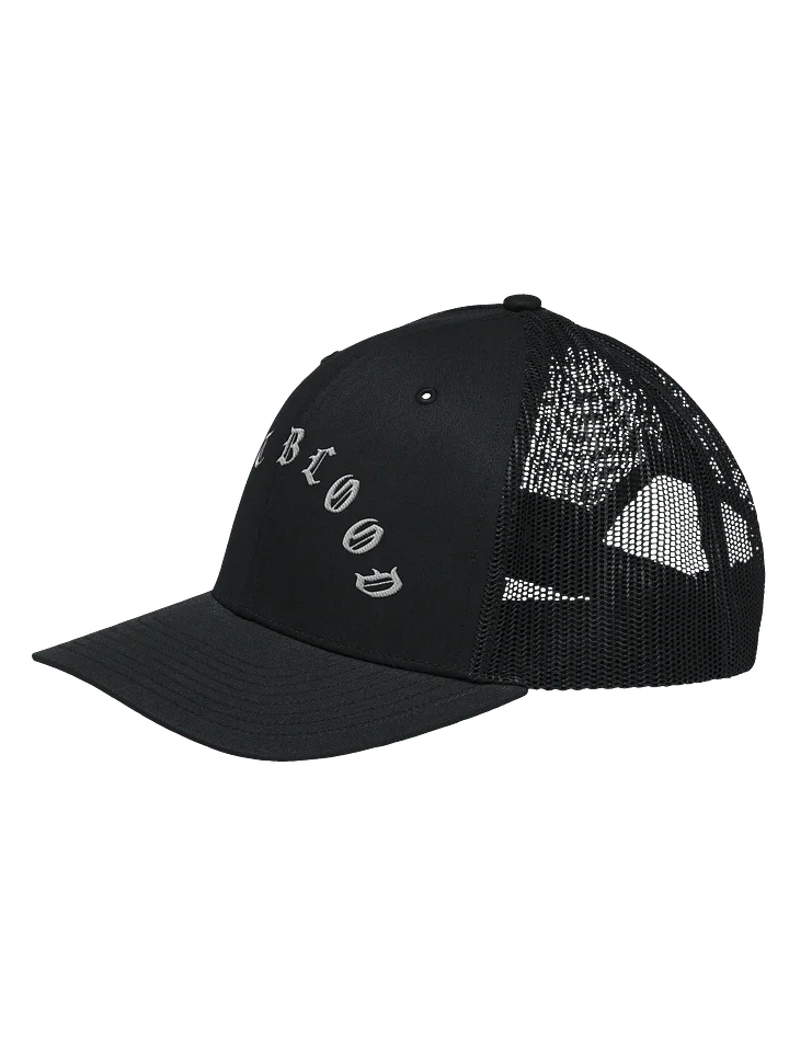 SALT BLOOD TRUCKER CAP product image (14)