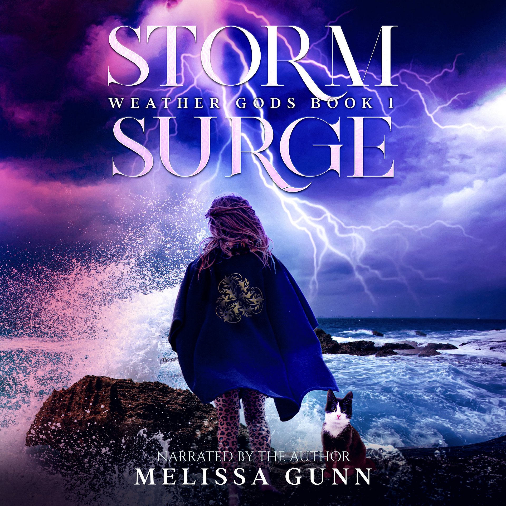 Storm Surge audiobook product image (1)