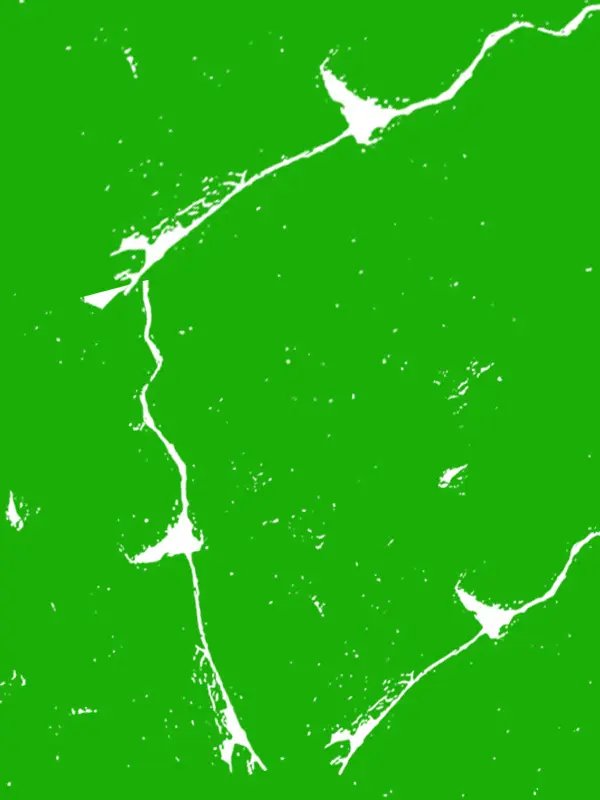 Retro Kodak Negative film Scratched strip Effects Overlay | Green Screen + MOV product image (1)