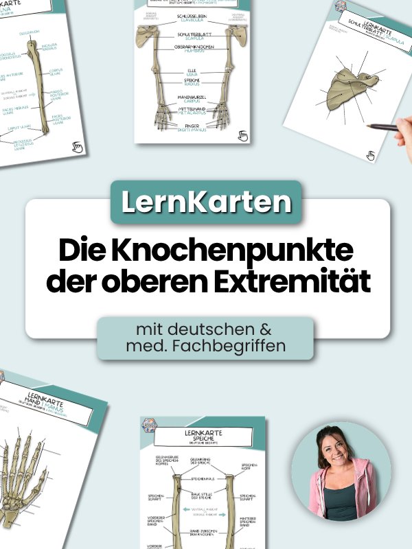 LernKarten 'Die Knochenpunkte der oberen Extremität' product image (1)