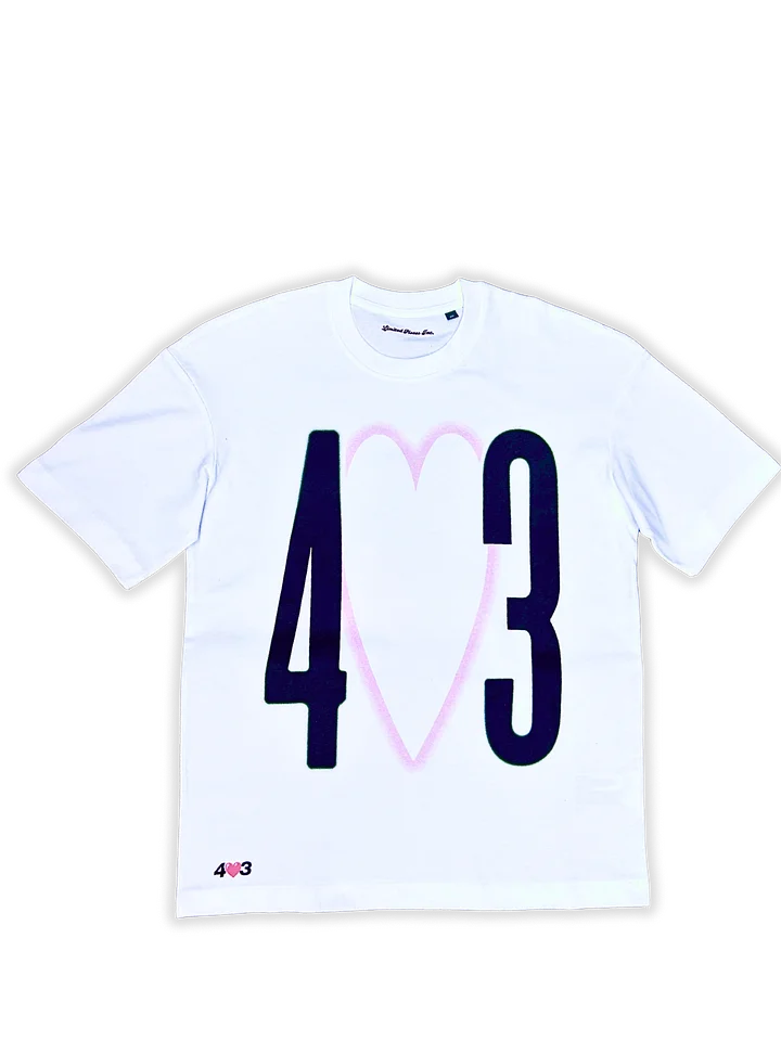 403 ERROR W product image (1)