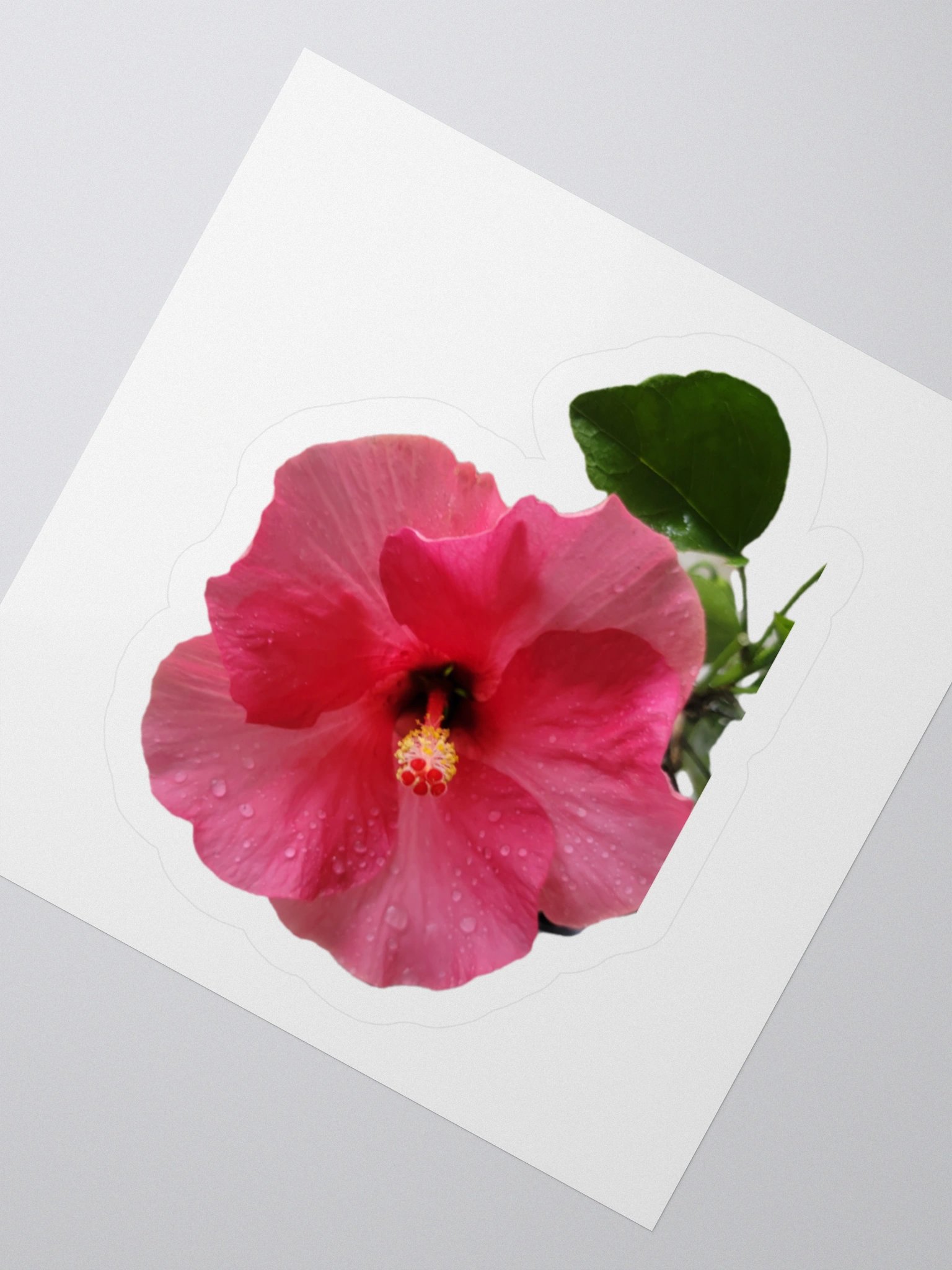 Flower Stickers v2 product image (6)