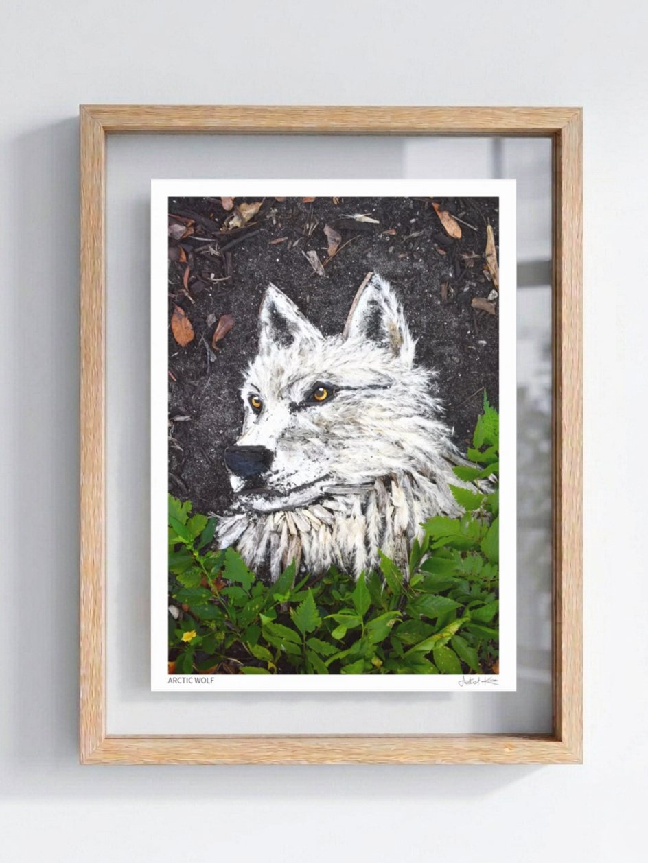 ARCTIC WOLF | Fine Art Print product image (1)