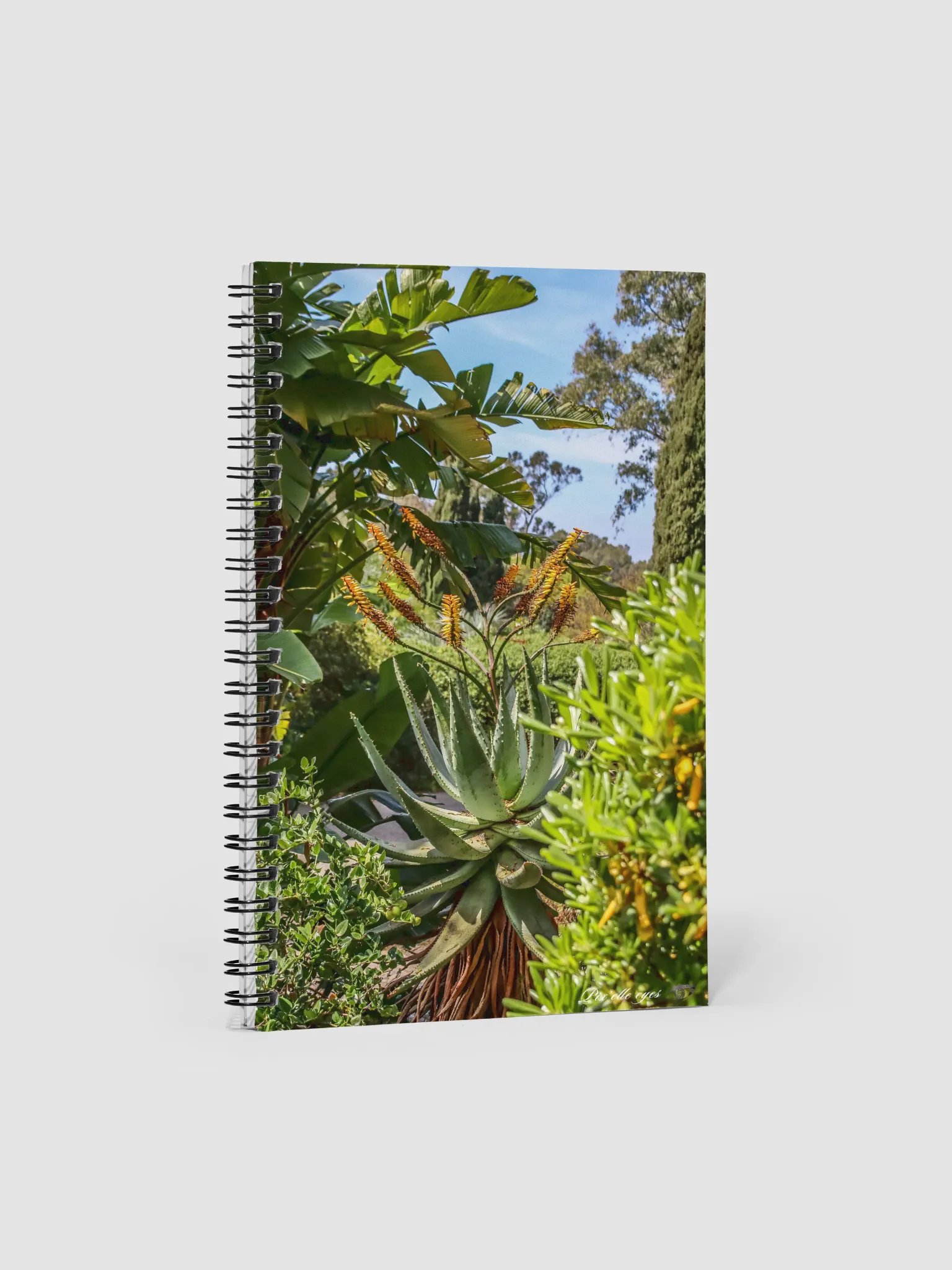 📘 Notebook Collection PURE – Jardin du Rayol – Aloès en feu product image (1)