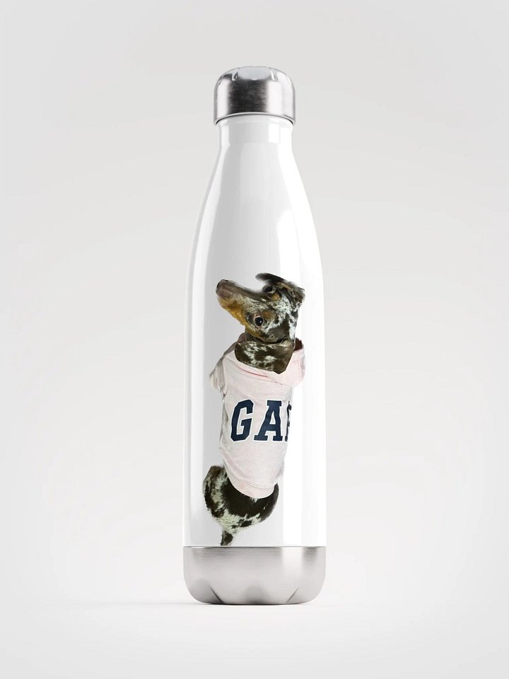 LuLu Sports bottle product image (1)
