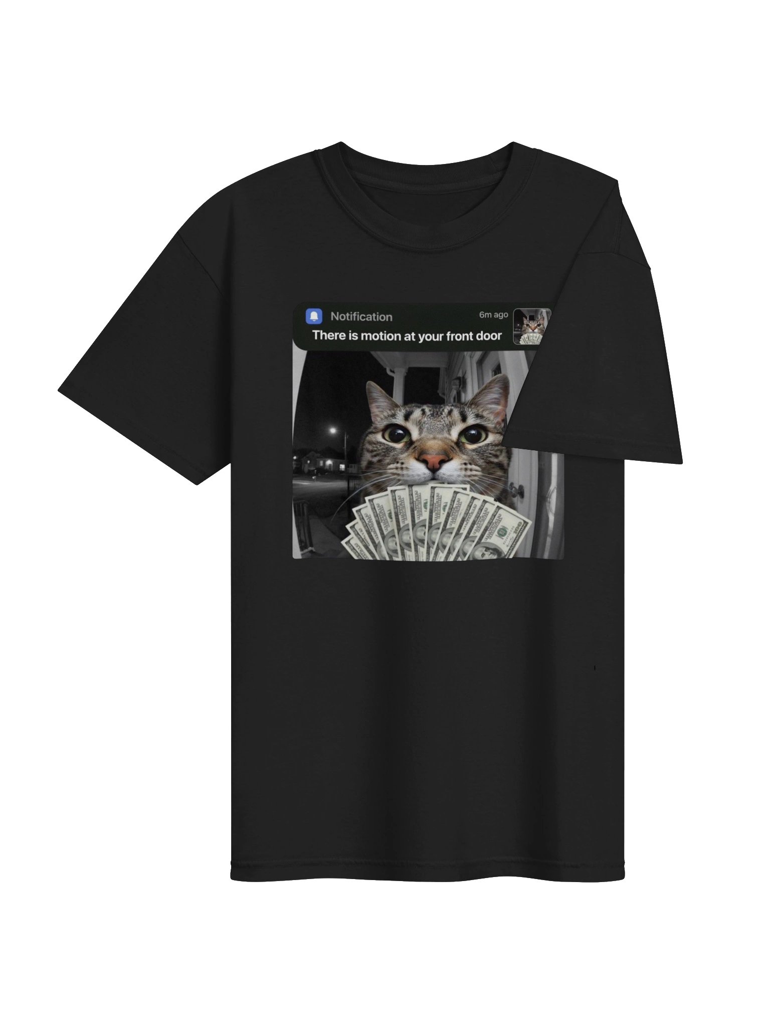There is Motion At Your Front Door Funny Cat Motion Meme T-Shirt product image (33)