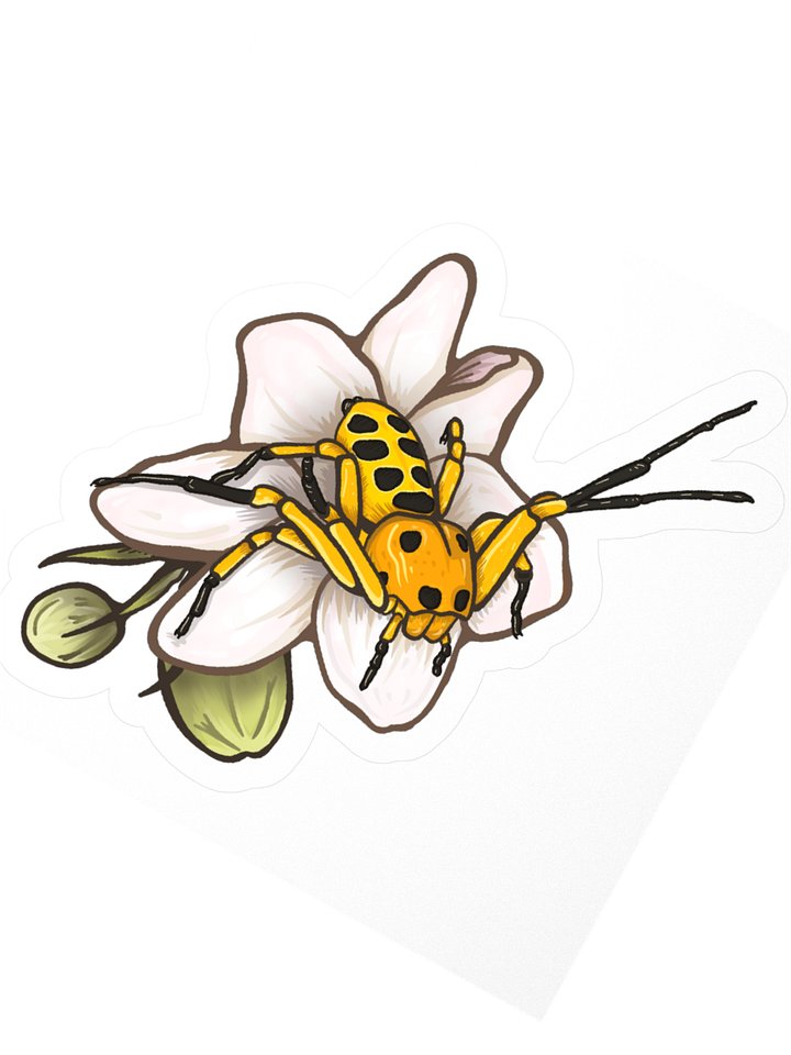 pikachu crab spider sticker product image (5)