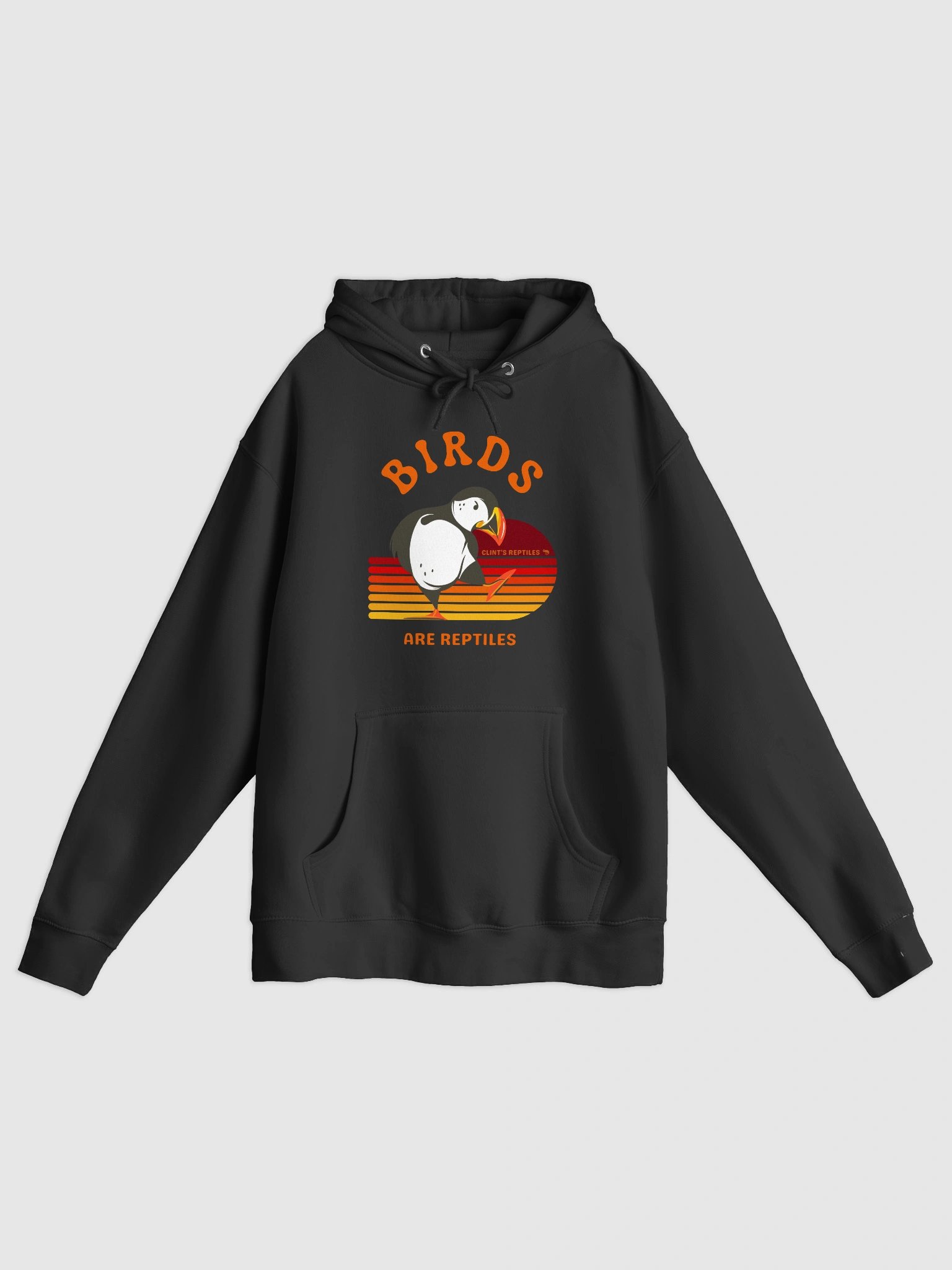 Birds Are Reptiles - Hoodie product image (1)