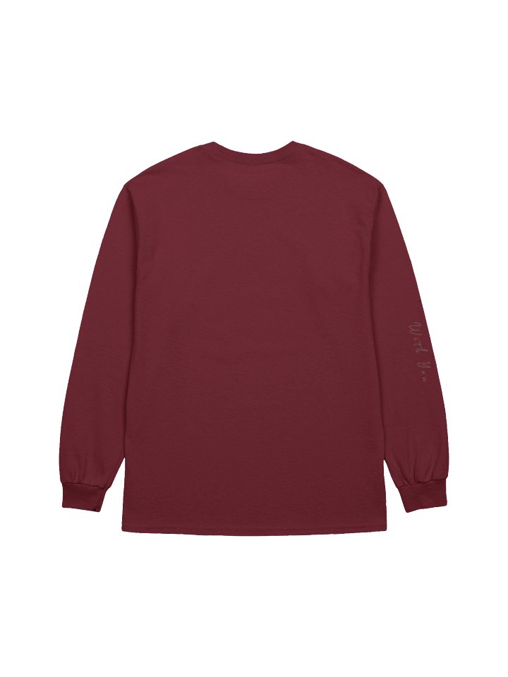 Ladies Long Sleeve Tee product image (2)