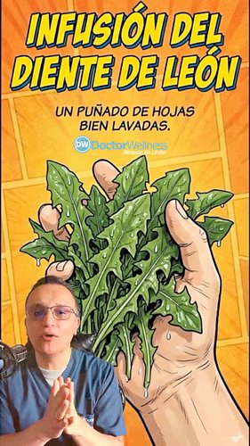 7 BENEFICIOS del DIENTE de LEÓN [Infusión PREPÁRALA Así] - ¡No Querrás PERDÉRTELOS!

¿Sabías que la solución para tu digestió...