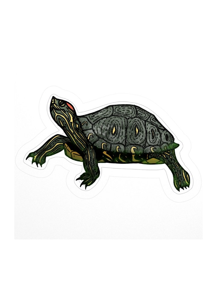 Twenty Turtle Six - May product image (1)
