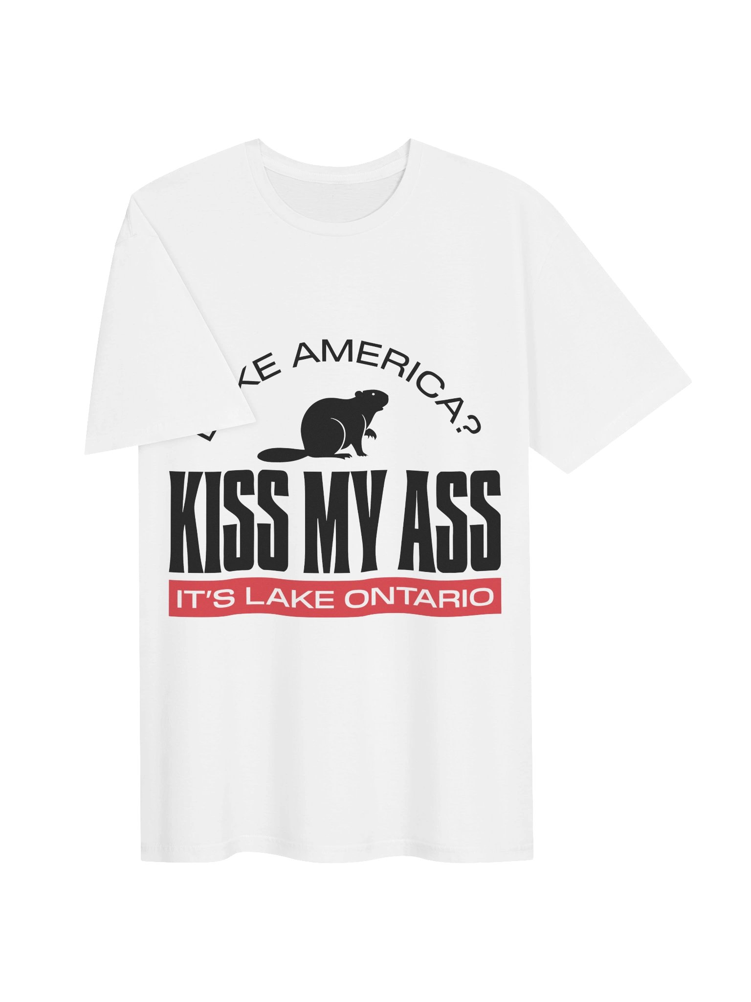 Kiss My Ass - It's Lake Ontario Tee product image (73)