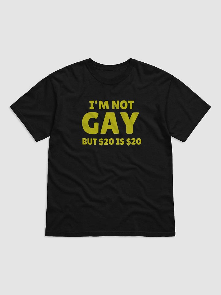 Not Gay But $20 is $20 Front Print Unisex Tee product image (1)