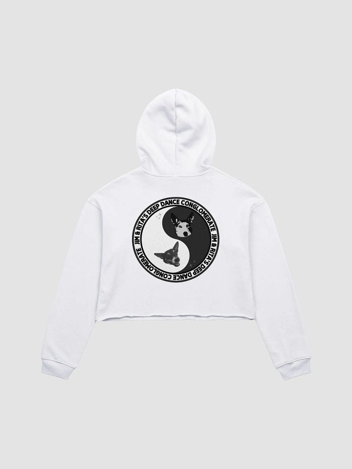 JRDDC SUMMR CROP HOODIE product image (2)