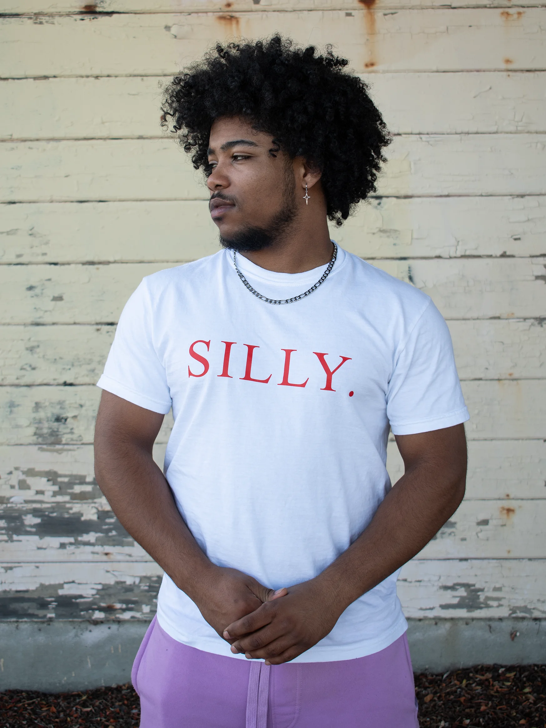 The Silly Shirt product image (33)