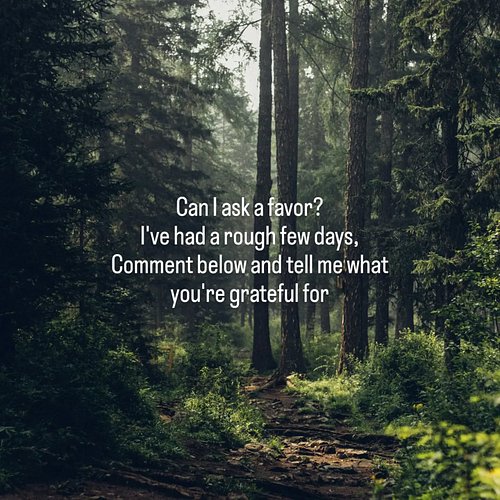 I could use a little good today 🌲♥️