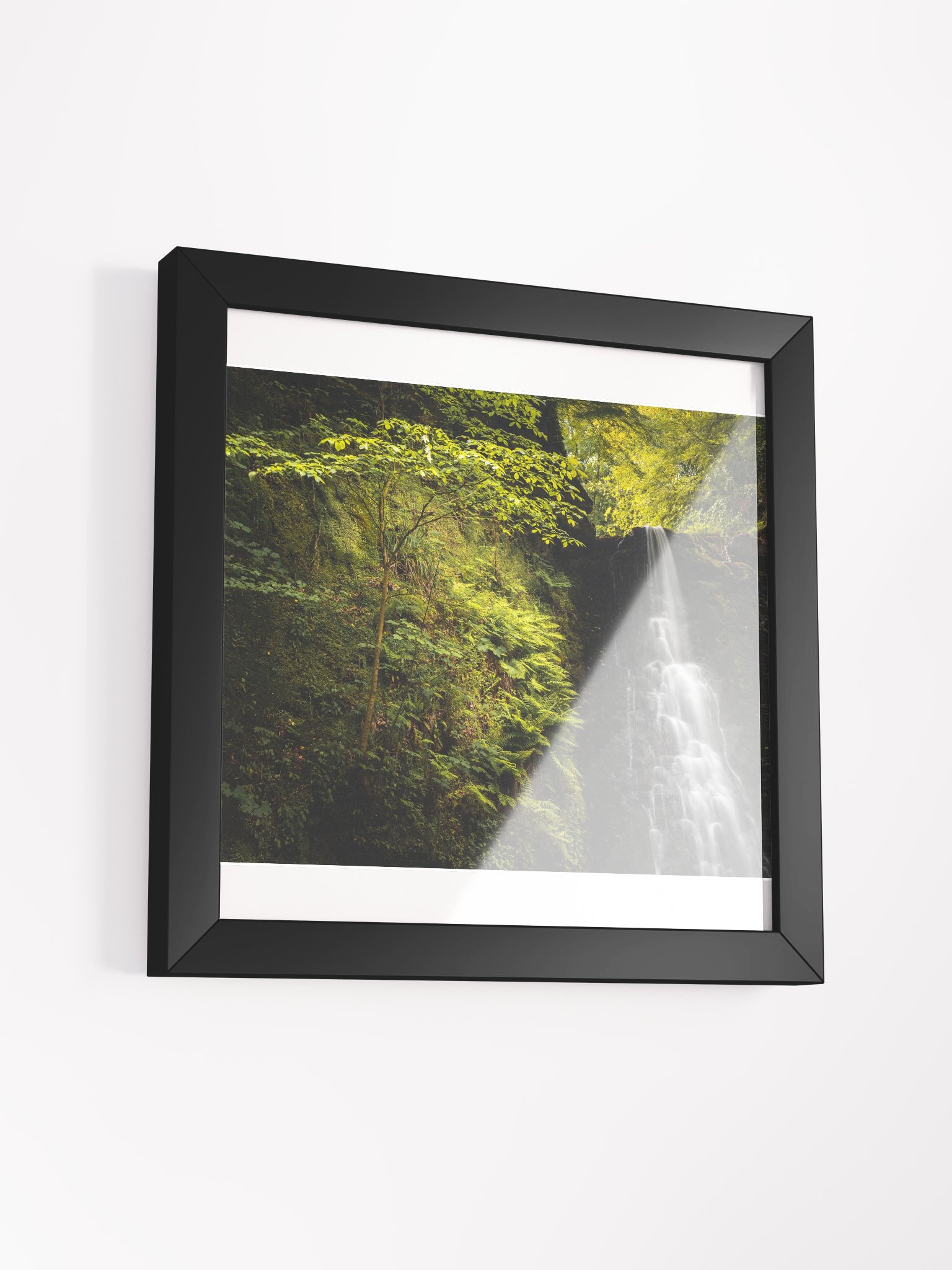 Falling Foss Sapling product image (11)