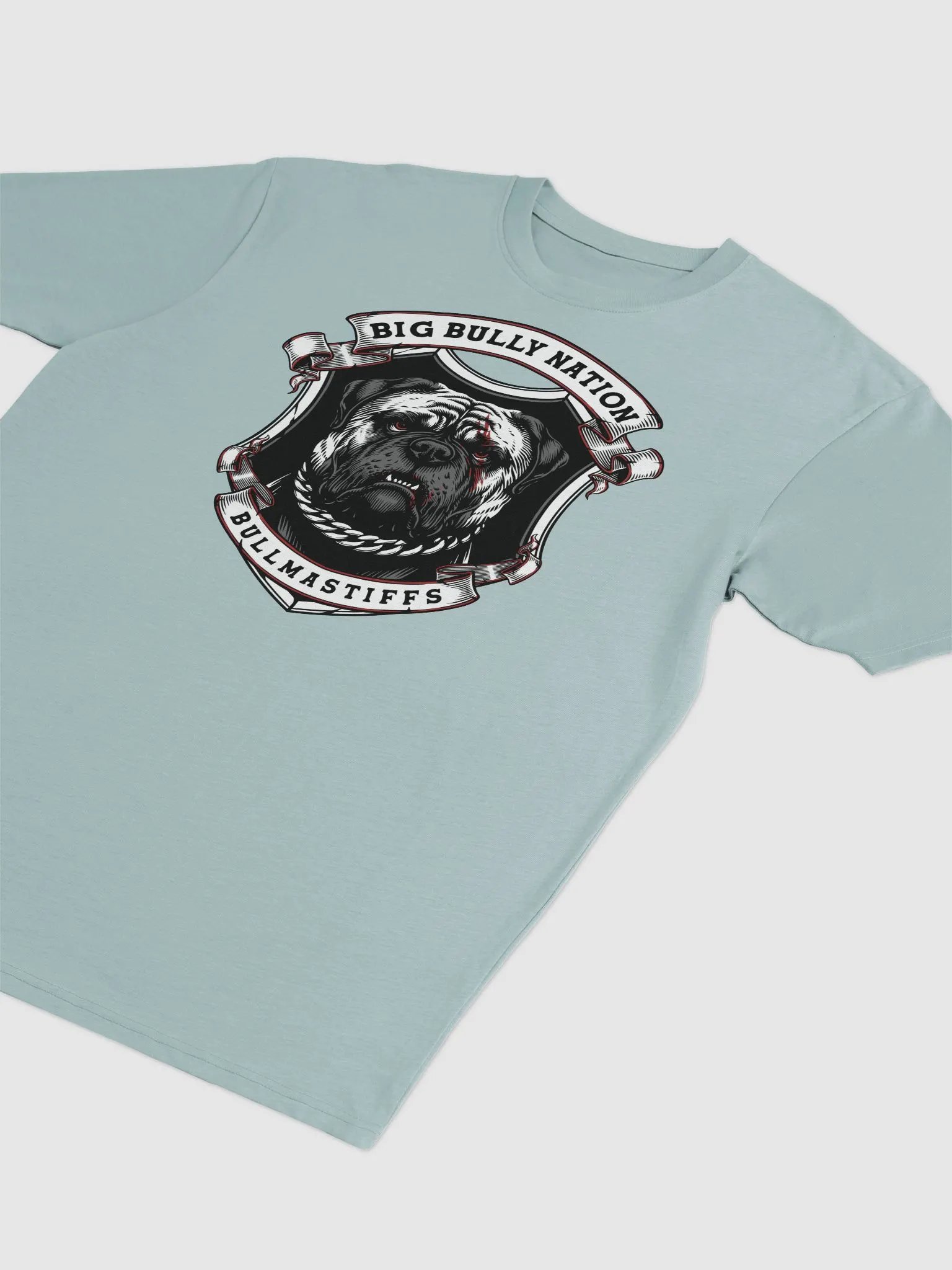 BBN Alter Ego Men's Tee product image (17)