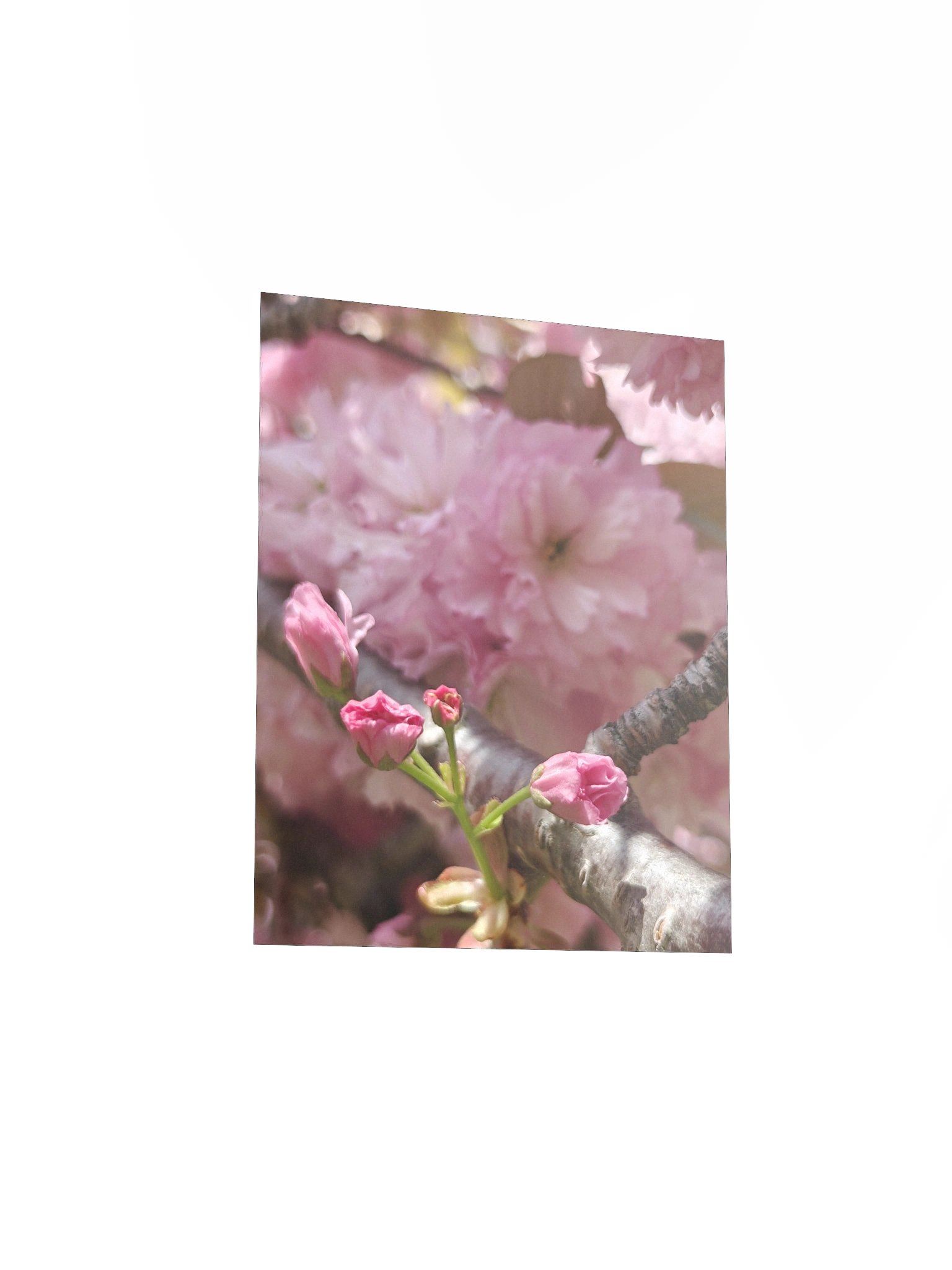 soft return - art print product image (3)