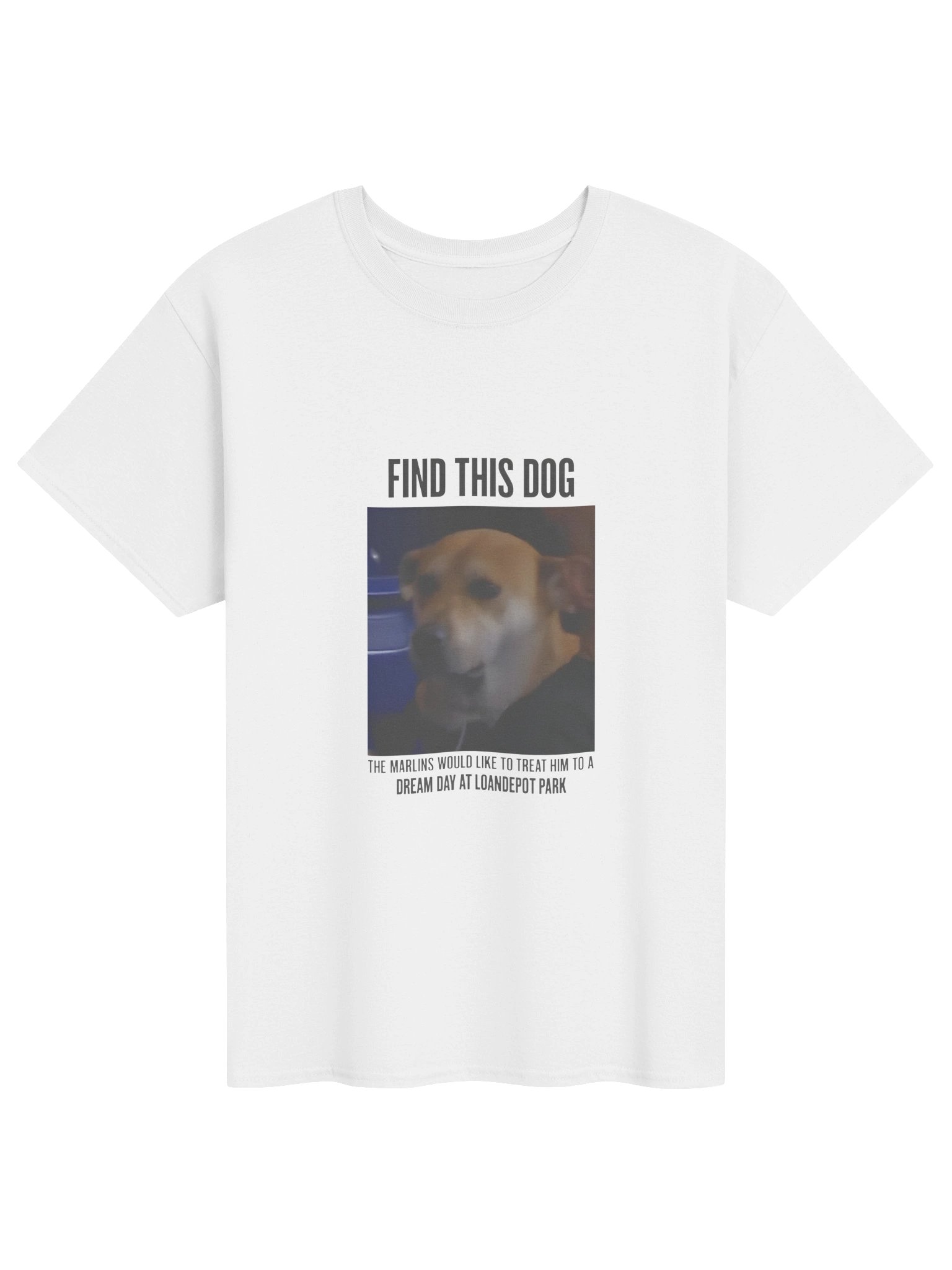 Find This Dog Marlins Dream Day Shirt product image (1)