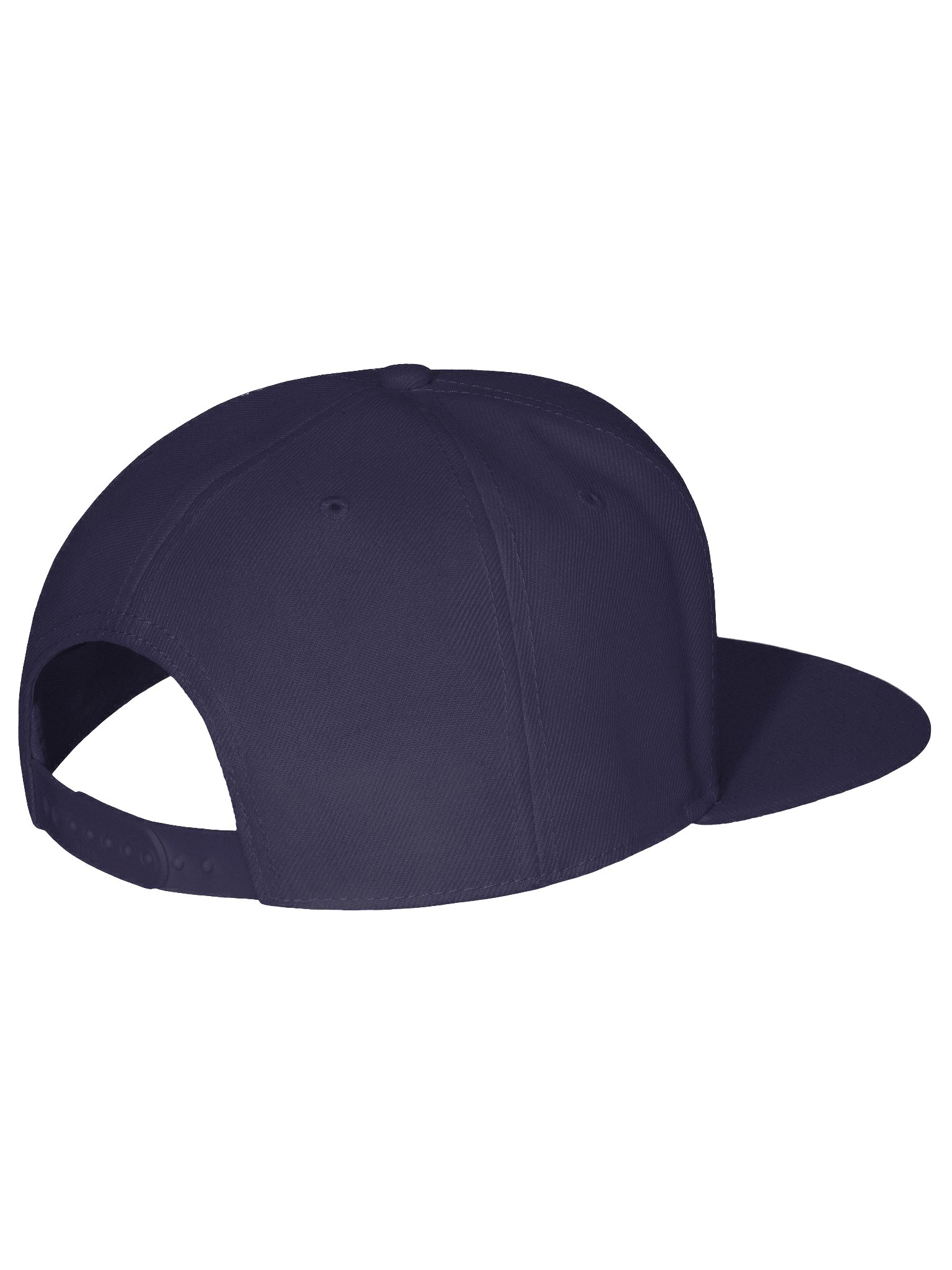 FOMOgator Cap product image (3)
