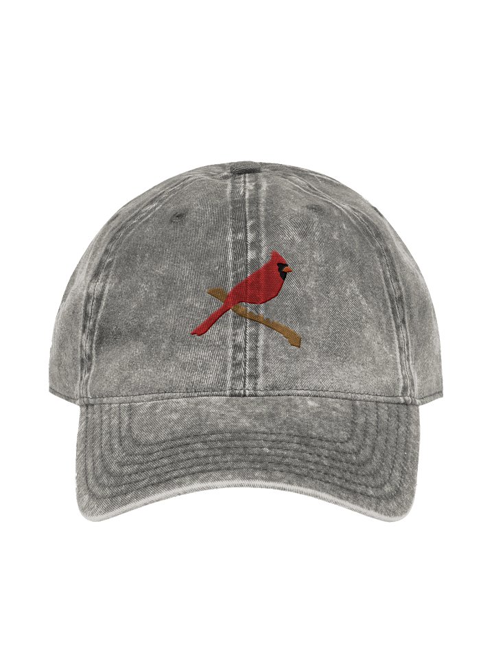 Cardinal Embroidered Vintage Hat product image (29)