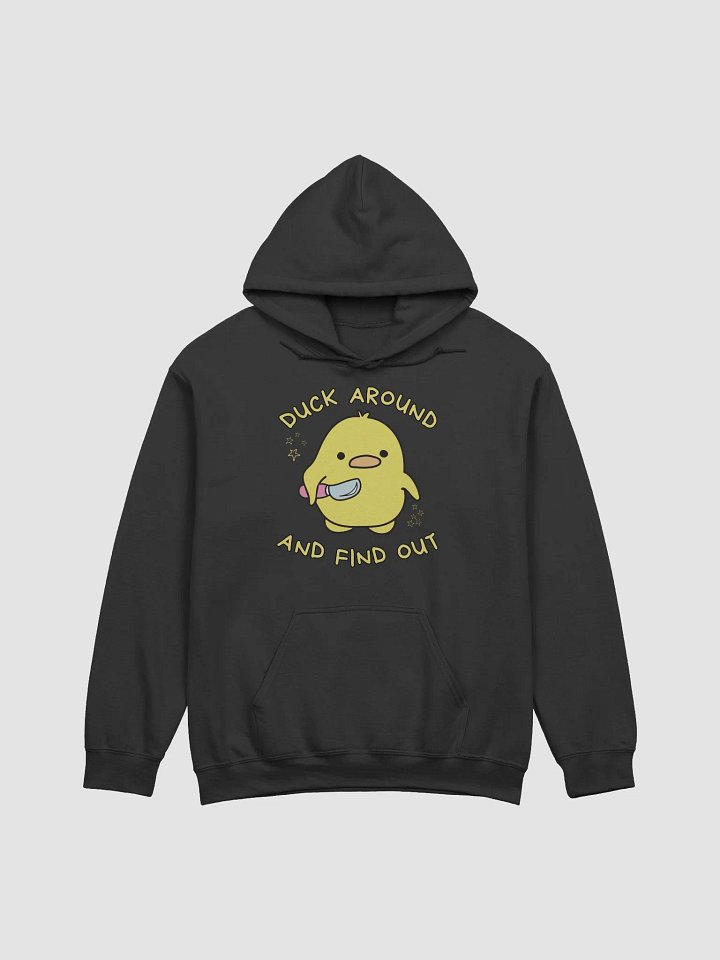 Duck around and find out Hoodie product image (1)