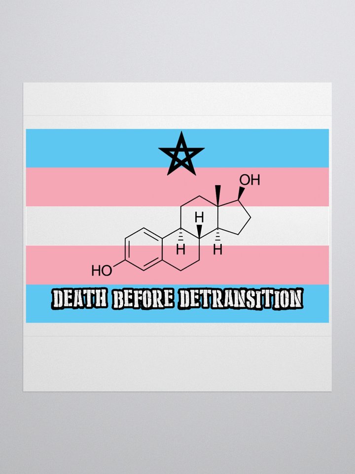 Death Before Detransition (E, sticker edition) product image (1)