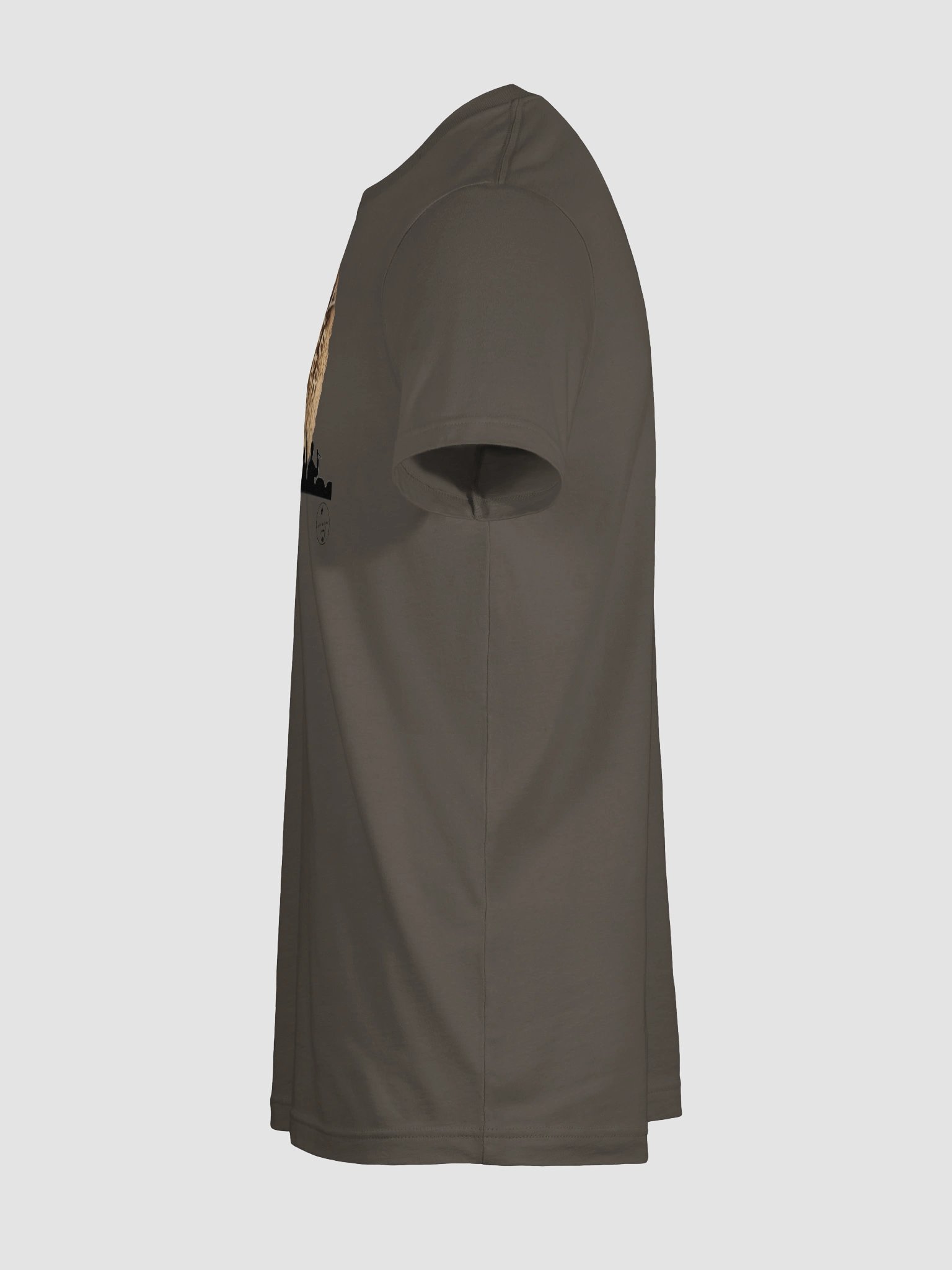 DST3K Tee product image (11)