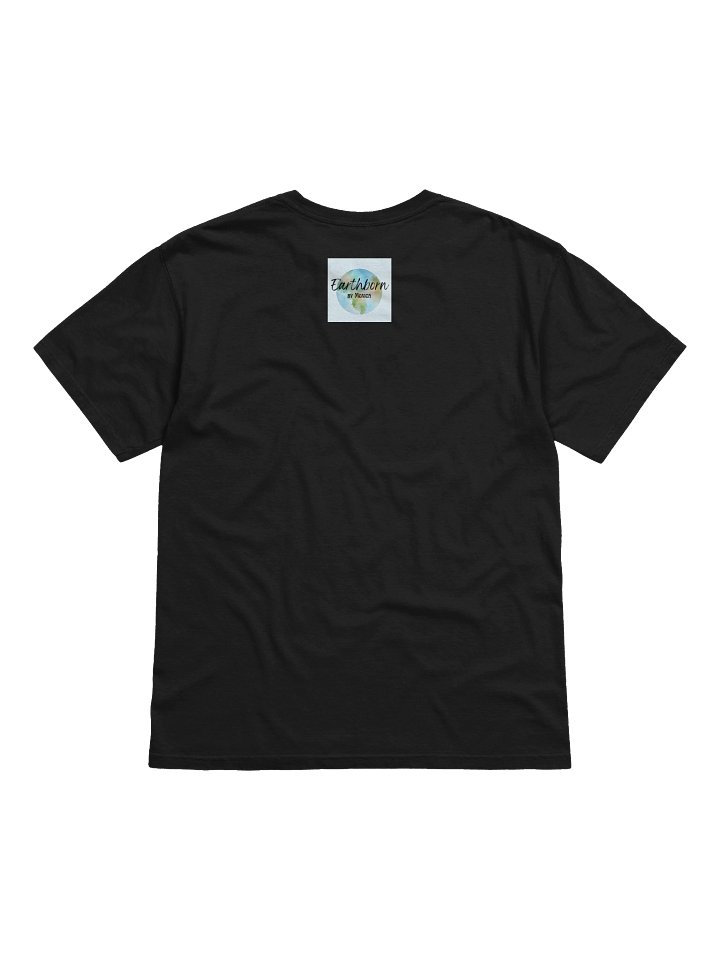 Spaceship Earth product image (5)