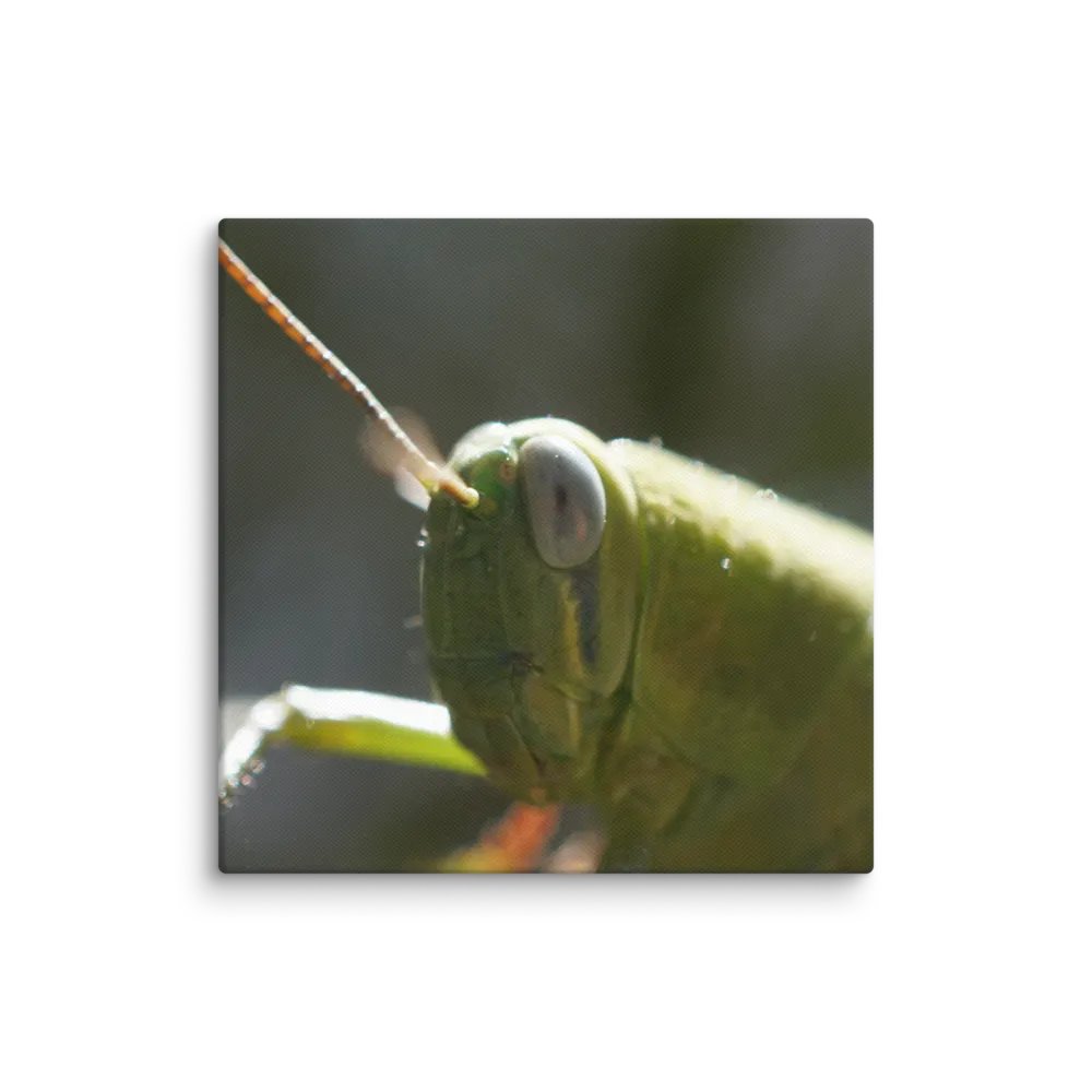 Grasshopper Canvas product image (1)