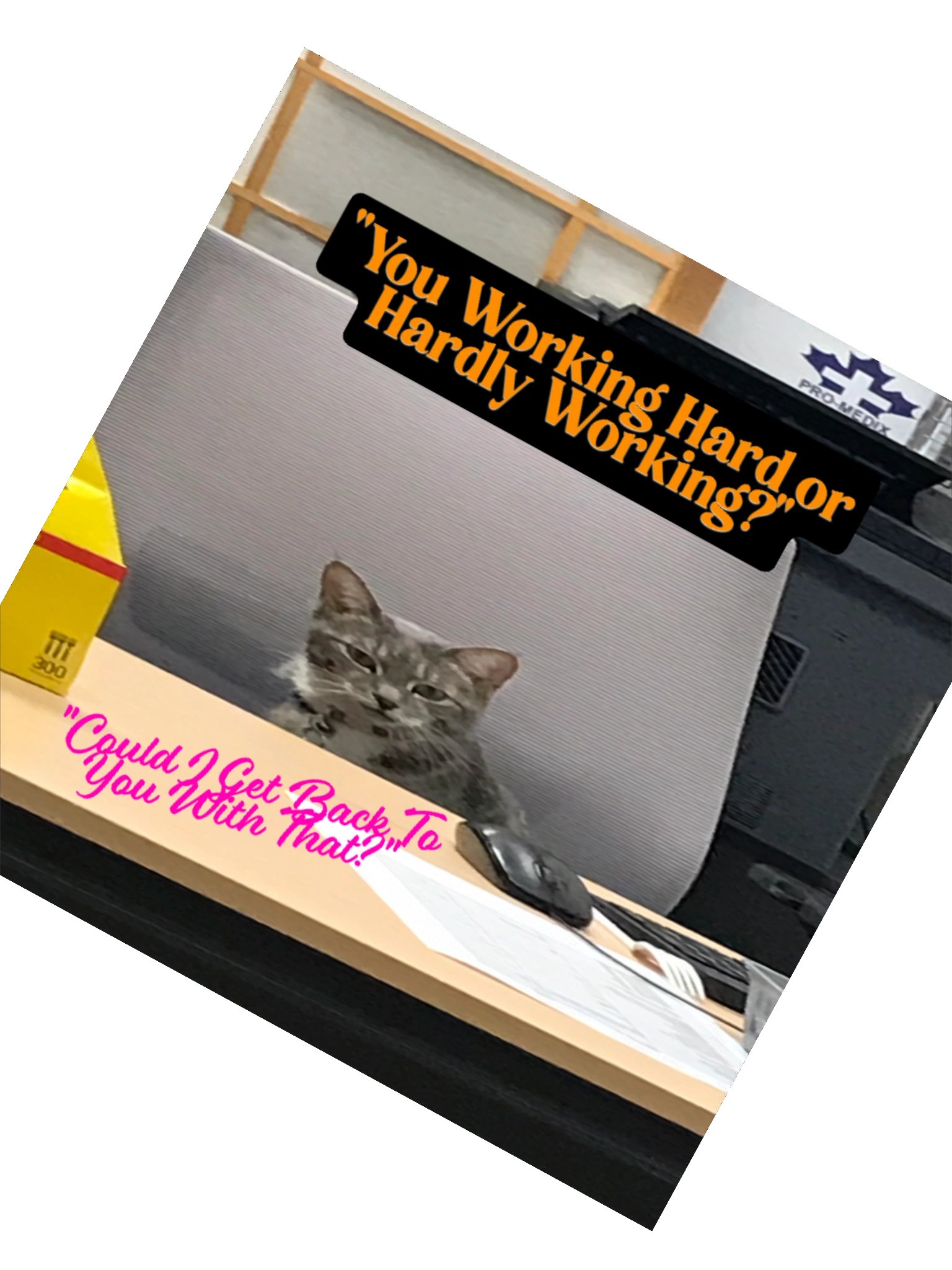 Hard Working Office Cat Stickers product image (6)