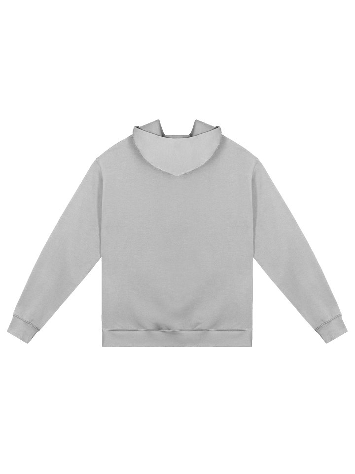 Fly-Inspired Premium Oversized Hoodie product image (7)
