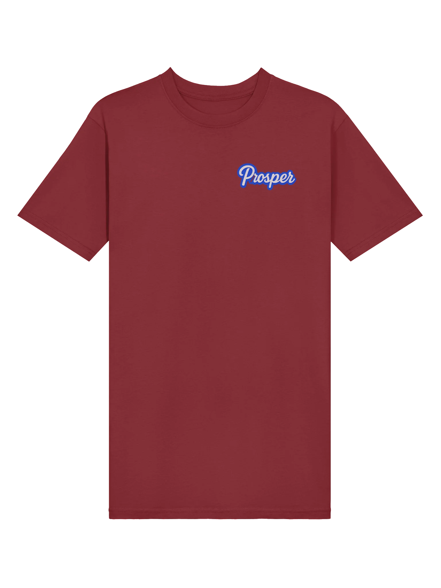 PROSPER Heavyweight T-shirt product image (14)