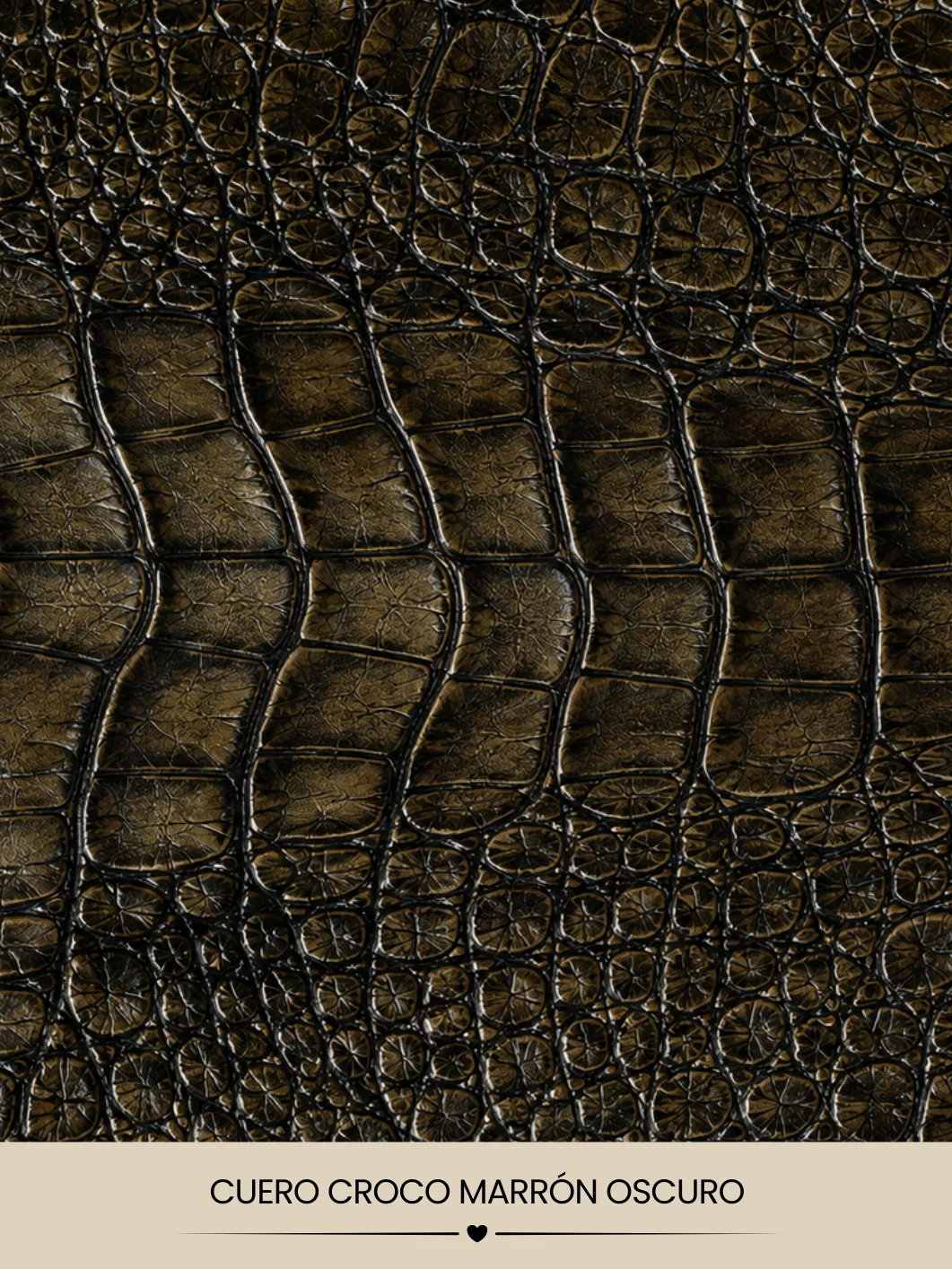 CUERO CROCO MARRÓN product image (1)
