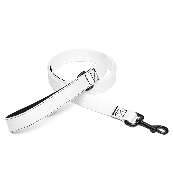 Honey (Pet Leash) product image (1)