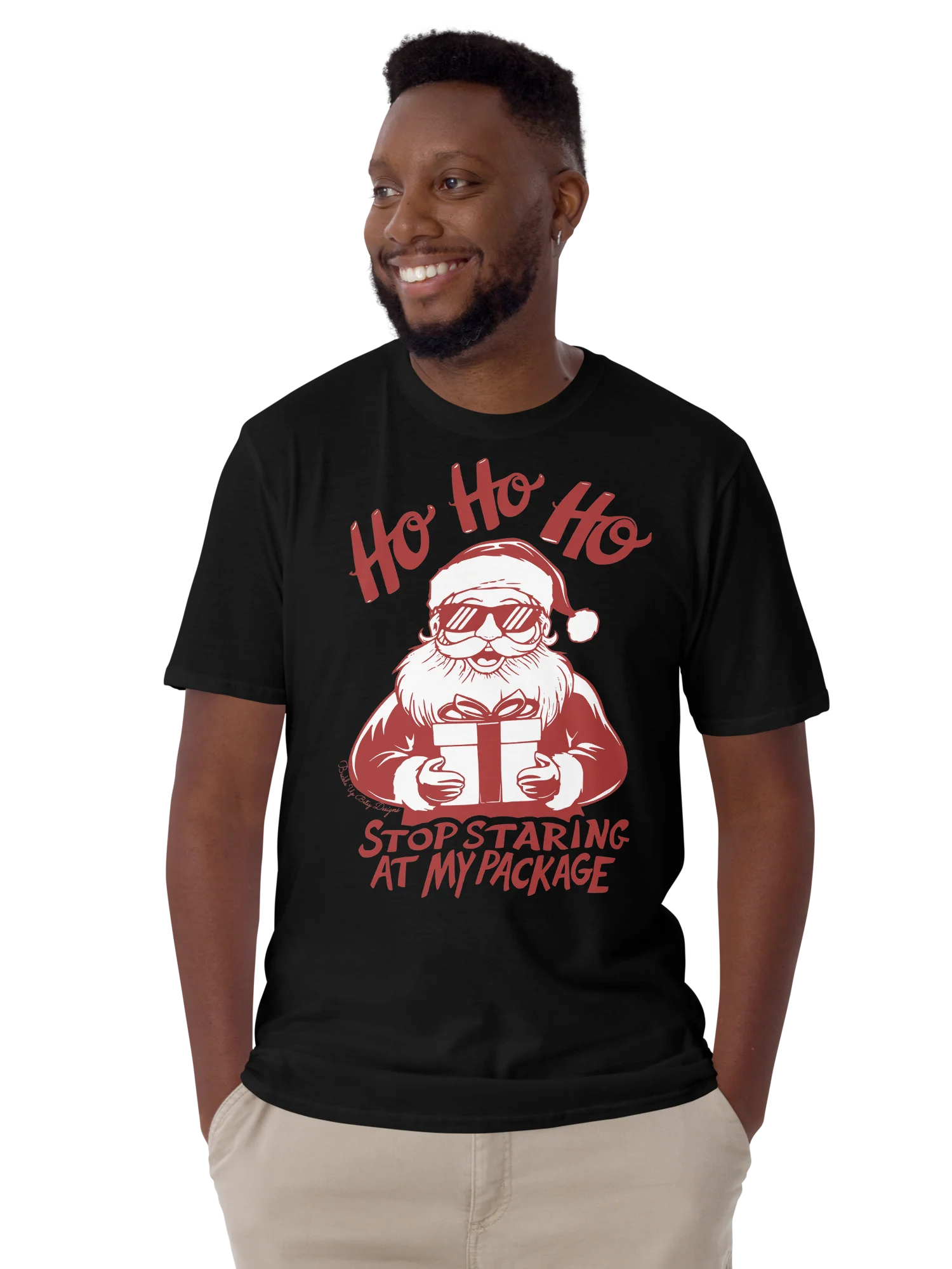 Holiday - Santa - Ho Ho Ho Stop Staring At My Package product image (1)