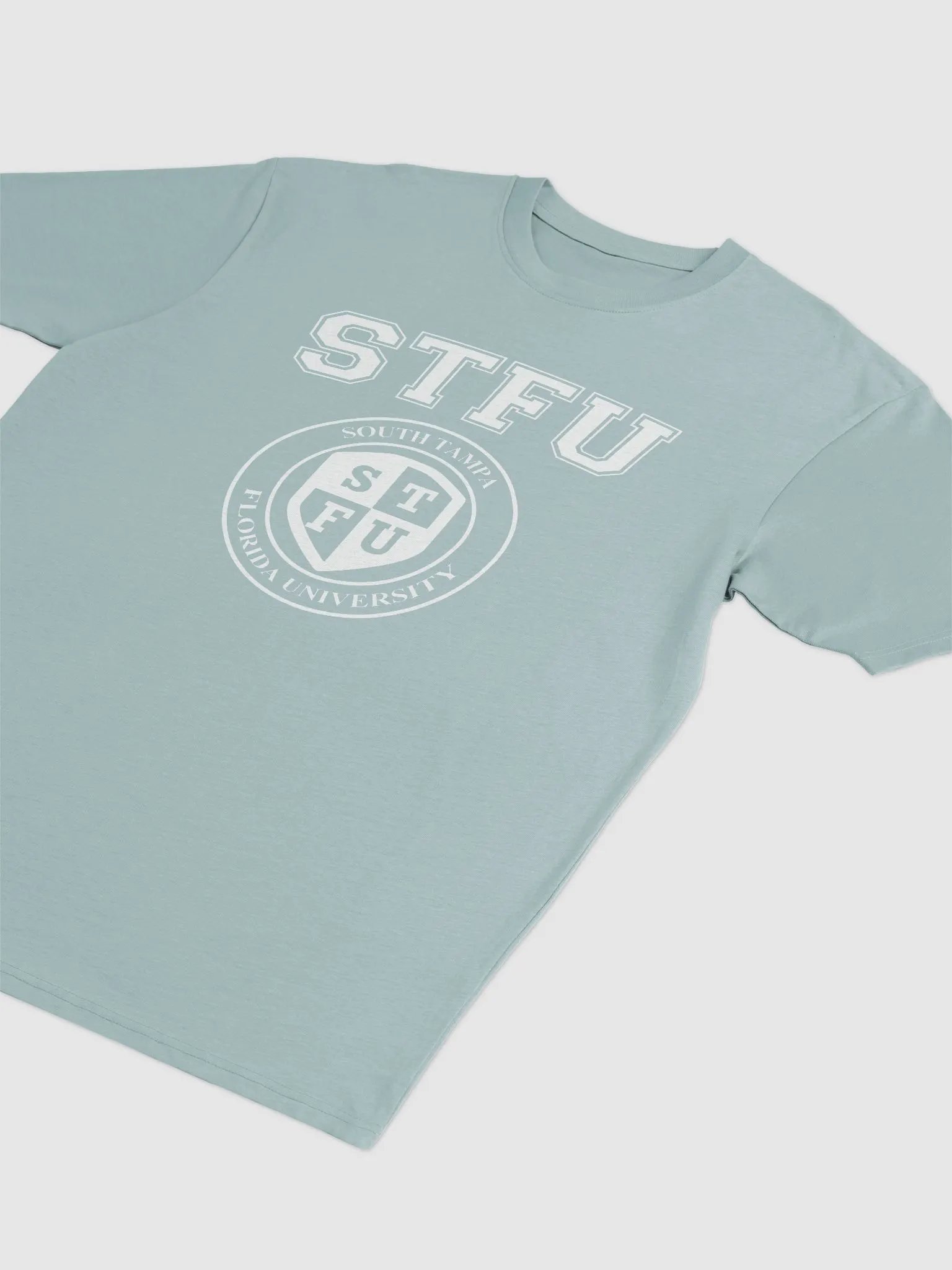 STFU Men's Premium Heavyweight Tee / Dark Colors product image (3)