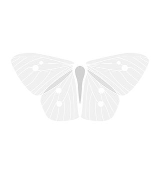 Shalaena's Book Nook