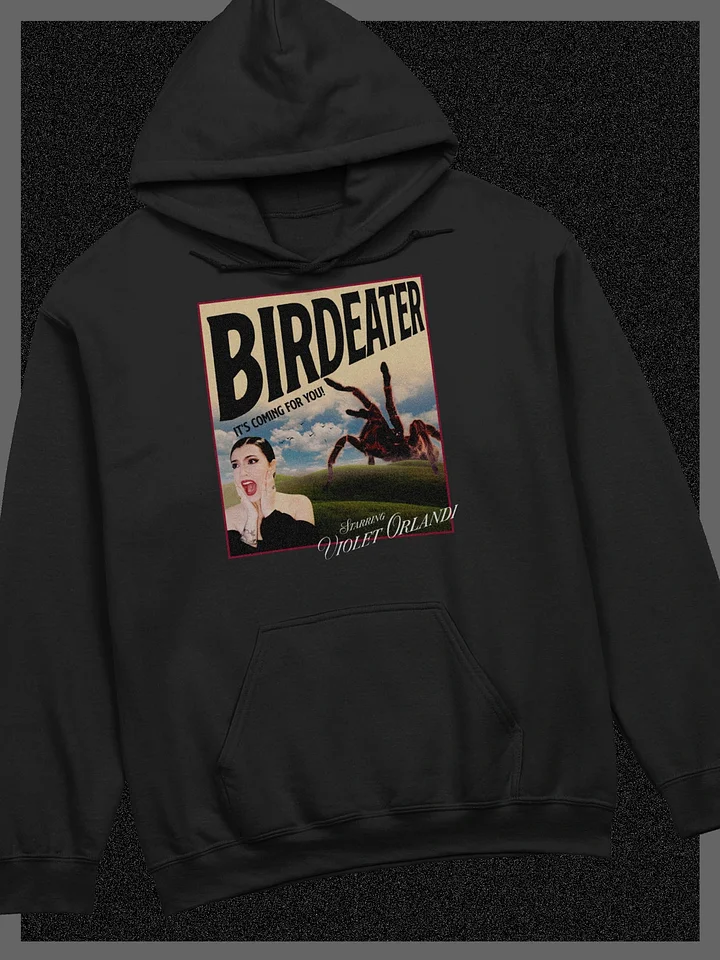 Birdeater Vintage Poster Hoodie (Color) product image (2)