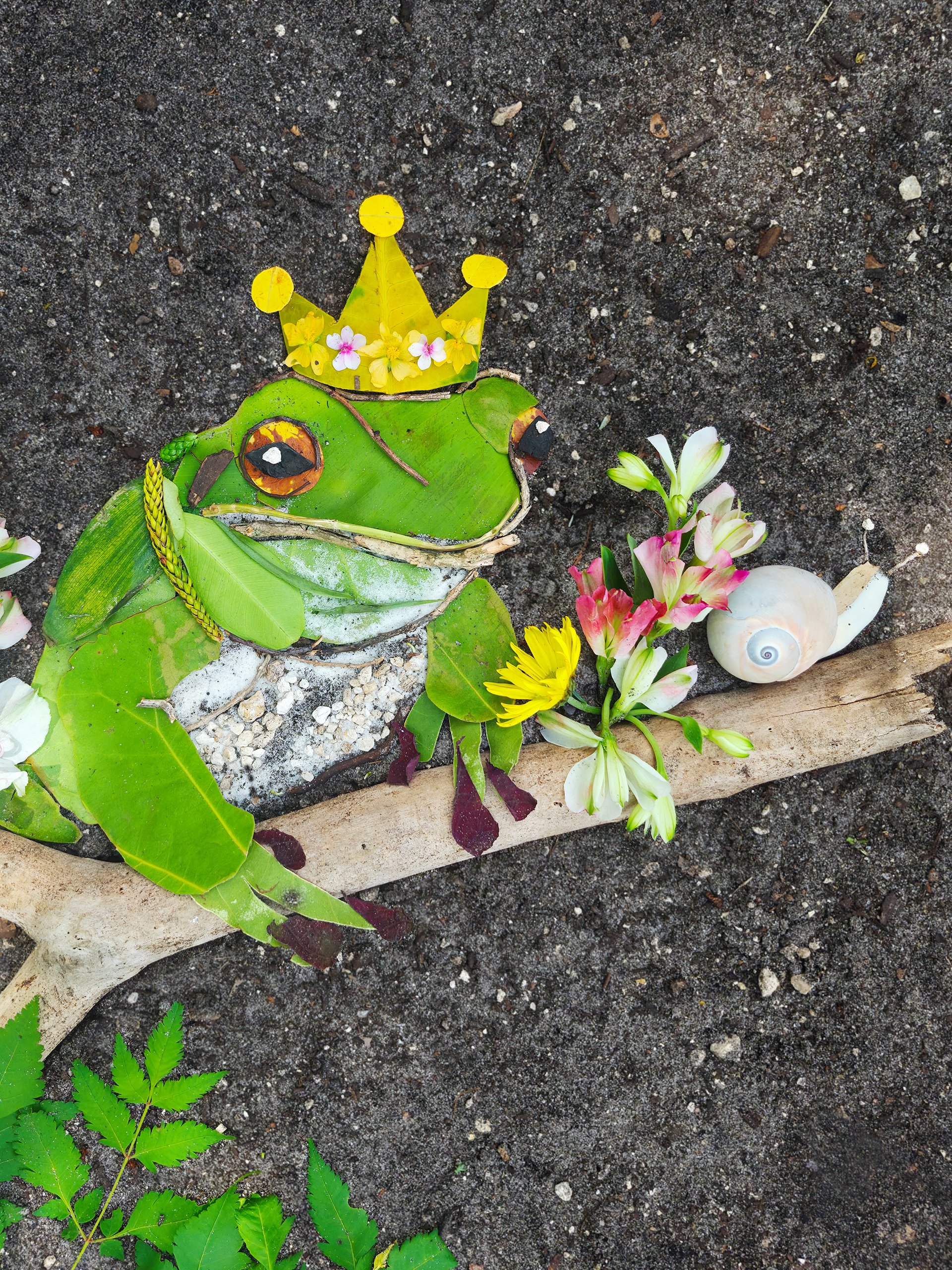 THE FROG KING | Nature Art Print product image (1)