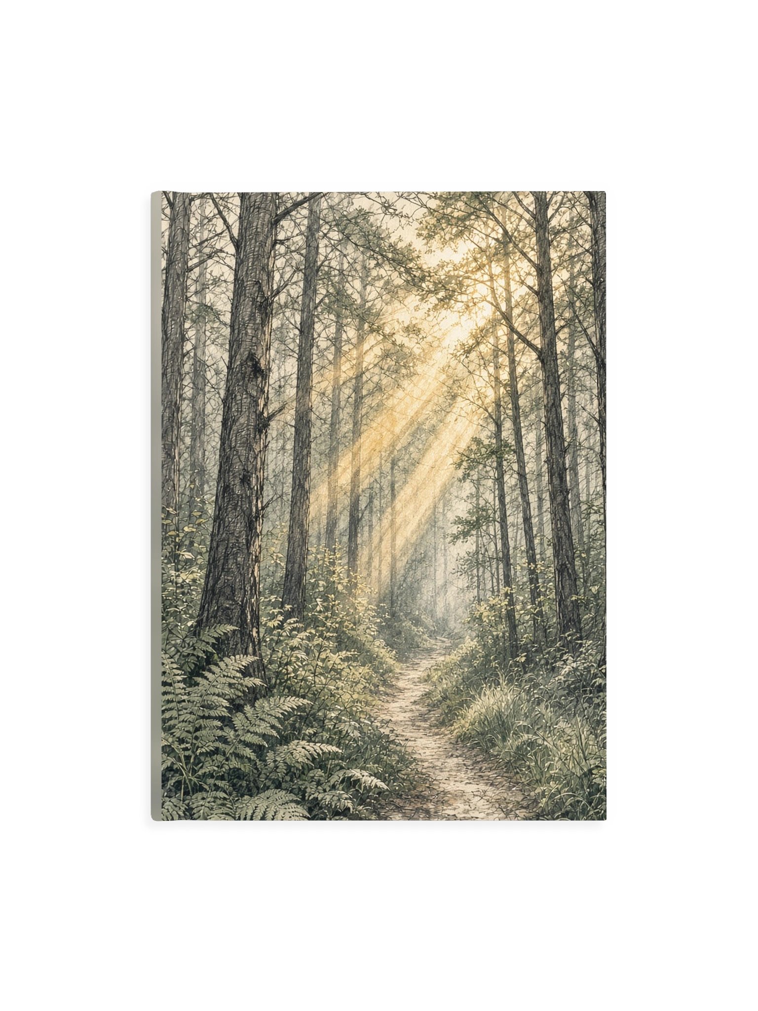 Sunlit Forest Path Drawing Book product image (1)