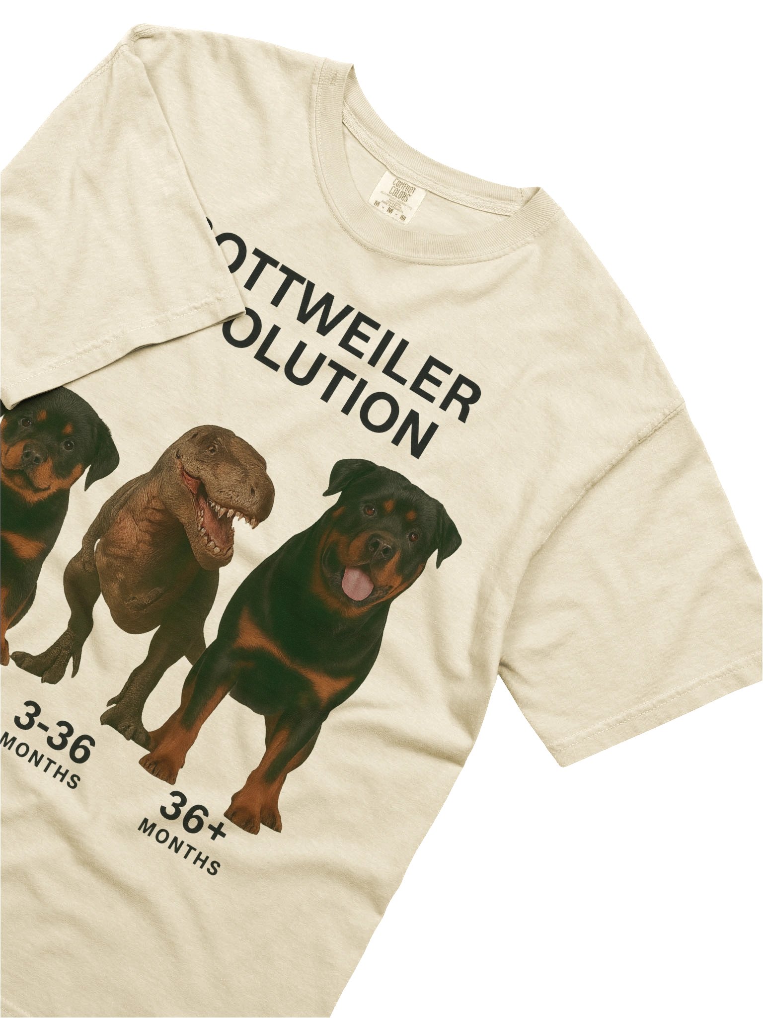 Rottweiler Evolution Tee product image (60)
