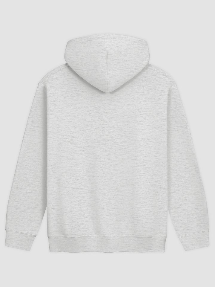 Too Glam Too Give A Damn Hoodie product image (22)