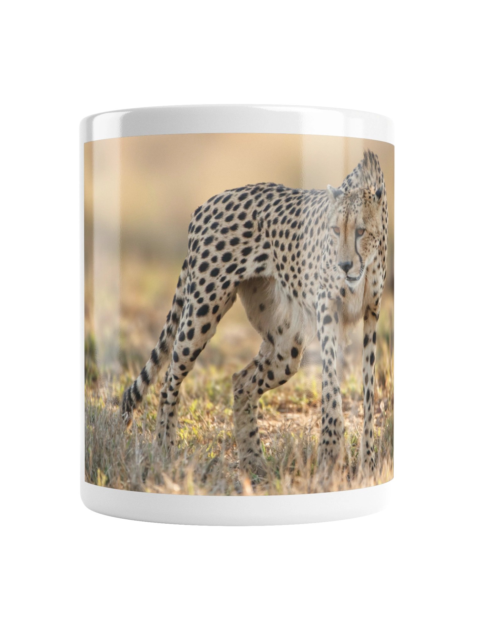 Cheetah product image (4)