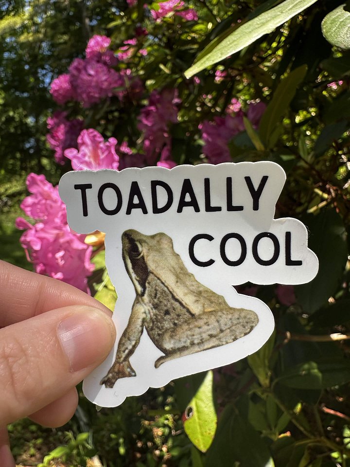 Toadally Cool Sticker product image (1)